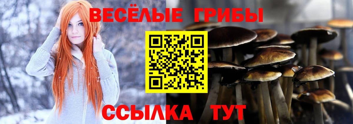 Галлюциногенные грибы Cubensis  Вход с VPN  Печора 
